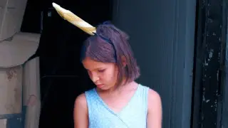 UNICORNS - Qkumba Zoo