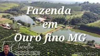 Fazenda de 140 alqueires em ouro fino.