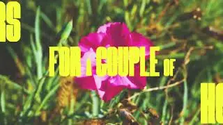 Projet 1 / Animation typographique / Benjamin Baron