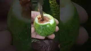 #shortvideo #viralvideo #anarkoli #pasoinfruit