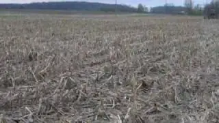 Homemade Vertical Tillage Tool
