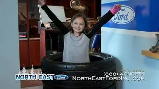 Service with The Professionals at North East Ford