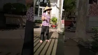 Tựa c&aacute;nh b&egrave;o tr&ocirc;i #quangio #bolerohay