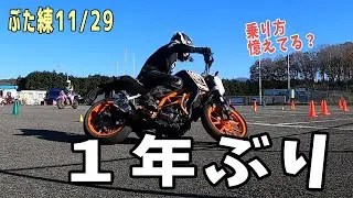 【ジムカーナ】　一年ぶりに390DUKEに乗る【ぶた練初参加】