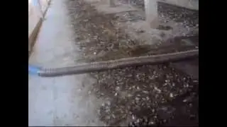 Poultry Litter Cleaning Machine