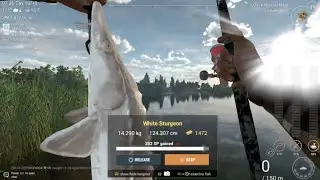 Fishing planet : San JOAQUEN Farming Money 7