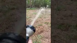 How to make a food plot for deer season