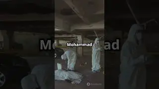 Shocking Attack on Tehran's Supreme Court Judges