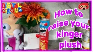 How to rasie your kinger plush ( Tadc plush)