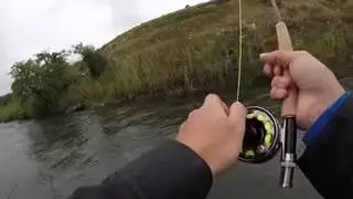Big Rainbow Trout on the Provo River. Go Pro footage fly fishing in Utah.