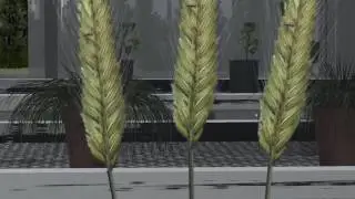 CROP 200 - Virtual Greenhouse