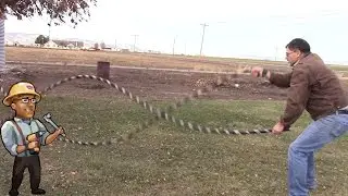 Battle Ropes for under $10! - DIY Dudes