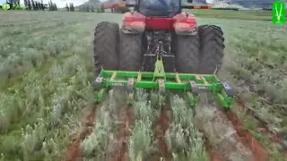 Wat is die verskil tussen mielies wat gerip is met 'n Bok.I Inline Ripper en di&eacute; wat nie is nie?
