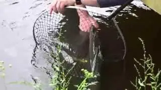 Garlieston Lodge Trout Pond