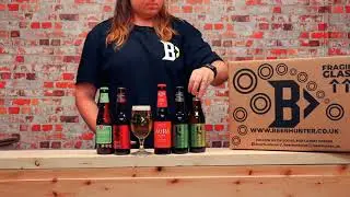 Gluten Free & Vegan Craft Beer Case Gift Set with Glass (12 Pack) | Beerhunter