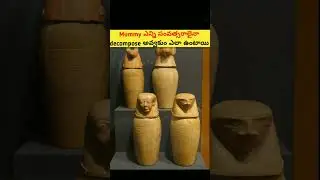 why mummies are not decomposed in so many years #facts #astro #shorts