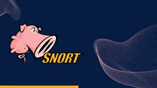 Snort IDS/IPS - explain and how to write the rules
