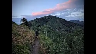 Tony's Journey - The Wasatch 100