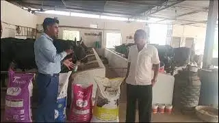 Tiwana Nutrition Deat/तिवाना पशु आहार/Tiwana Feed//High Milking//  @GaneshadairyFarmRealDairyFarm