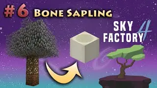 Part 6 [Bone Sapling] Minecraft Sky Factory 4
