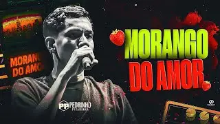 MORANGO DO AMOR - Pedrinho Pisadinha ( ÁUDIO OFICIAL )