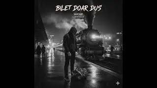 Shemp - Bilet doar dus