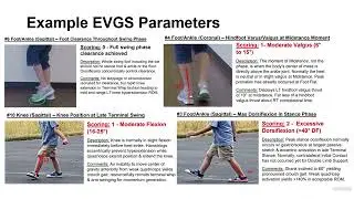 Condensed Edinburgh Visual Gait Scoring (C-EVGS)