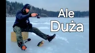 DUŻE OKONIE Z LODU... Ledwo Mieściły Się w Przeremblu