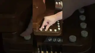 Walker Organ - Wind Sound - Wind Chime Sound - Cuckoo Sound #organplayer #organmusic #organeffects