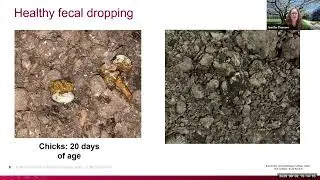 Poultry Poopology 101