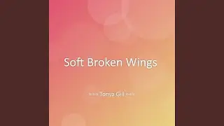 Soft Broken Wings