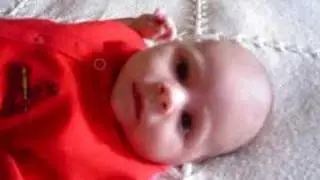 Cooing Cardinal Fan