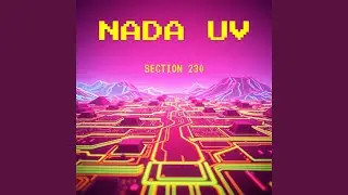 Section 230