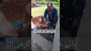 Hot weather | Multan Pakistan | 50 degree temperature |