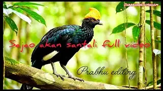Sajao akan santali song Prabhu tudu editing 
