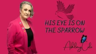 His Eye is on the Sparrow - Ashling Cole