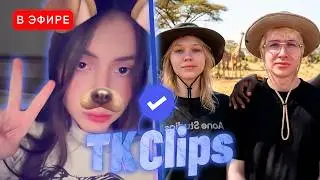 Лиза Смотрит TK CLIPS | ВЫЖИВАНИЕ В АФРИКЕ С ДЕНЖЕРЛЕХОЙ И МОРФИ | iceicell реакция