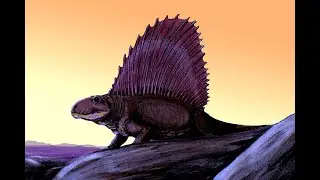 Ark survival evolved #3