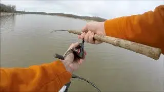Garmin Live Scope and they still wont bite!!