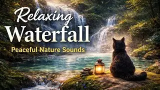 &ldquo;The Black Cat Watching the Waterfall | Calm & Peaceful Nature&rdquo;
