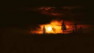 KYOTY - 14