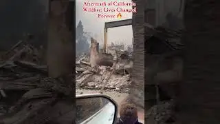Aftermath of California Wildfire: Lives Changed Forever 😢 #Wildfire #Aftermath #California #shorts