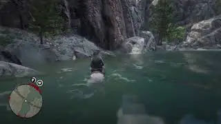 RED DEAD REDEMPTION 2 SPIDERWEB MYSTERY HUGE SET OF BIRDS LEADS TO FORT WALLACE