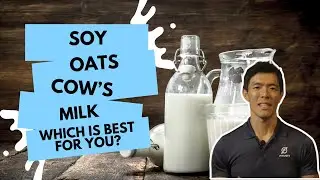 Different Types of Milk Explained: Oat, Soy, and Cow Milk Compared