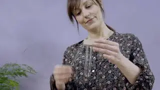 Modern growing station for head cuttings