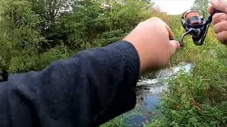 Top water CHUB on the drop