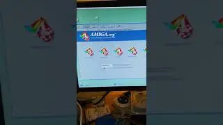 Going online with the Minimig FPGA Amiga