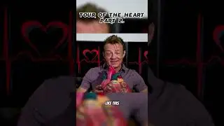 Tour of the Heart part 2 #weightloss #weightlosstips #diet #doctor #Cardiologist #doctor #doctorsof