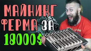 Магазин продаёт RTX 3080 сразу в майнинг установках (ригах) &ndash; цены на видеокарты перестали снижаться