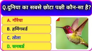 Hard Gk Question ❓ Top 10 General Knowledge in Hindi ❗#generalknowledgequestions 